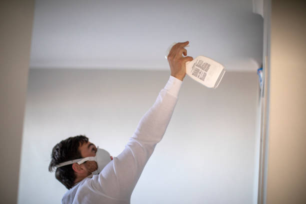 Best Mold Testing  in Mount Vernon, AL