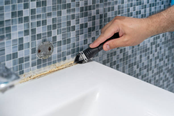 Best Best Mold Removal Companies  in Mount Vernon, AL
